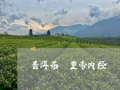 普洱茶 皇帝内经/2023041004157